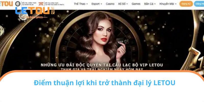 Điểm thuận lợi khi trở thành đại lý LETOU